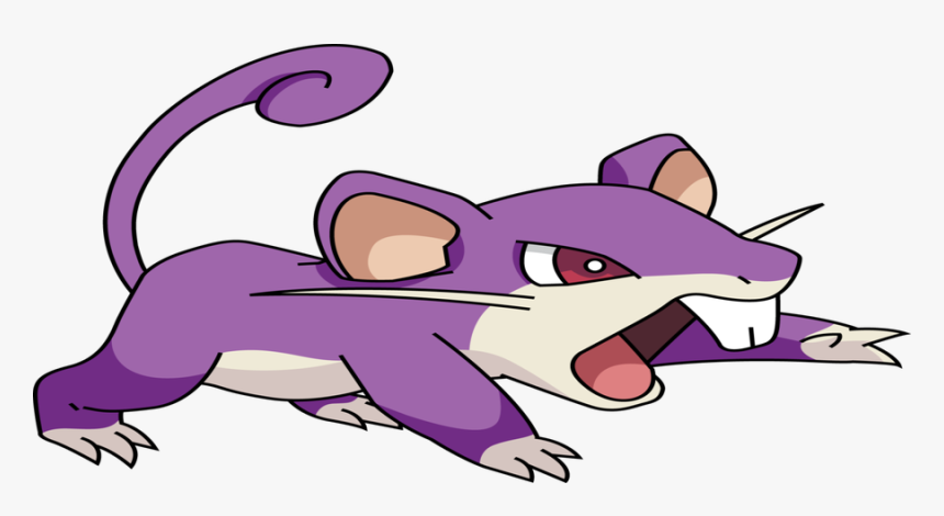 Transparent Raticate Png, Png Download, Free Download