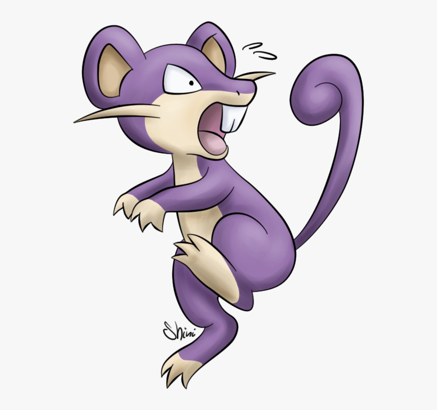 Rattata Transparent Wild - Rattata Photo Transparent Background, HD Png Download, Free Download