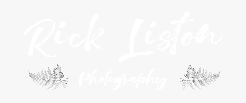 Monochrome, HD Png Download, Free Download