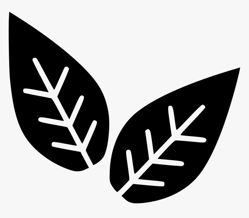 Leaves Plant Biology - Transparent Biology Icon Png, Png Download, Free Download