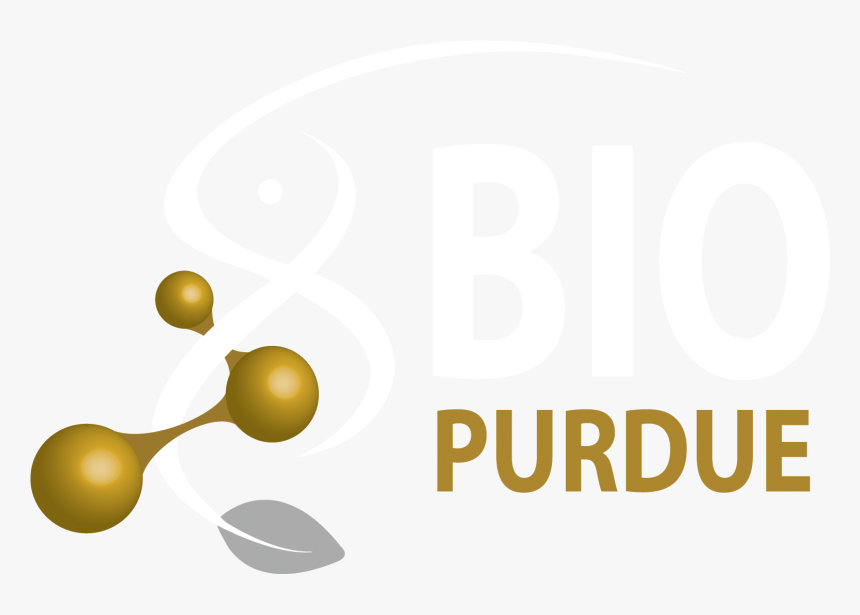 Purdue Biological Sciences Logo, HD Png Download, Free Download