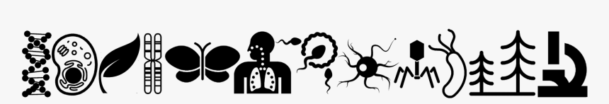 Biology Silhouette, HD Png Download, Free Download