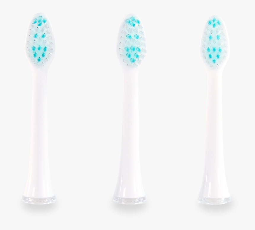 Toothbrush Replacement Head, HD Png Download, Free Download