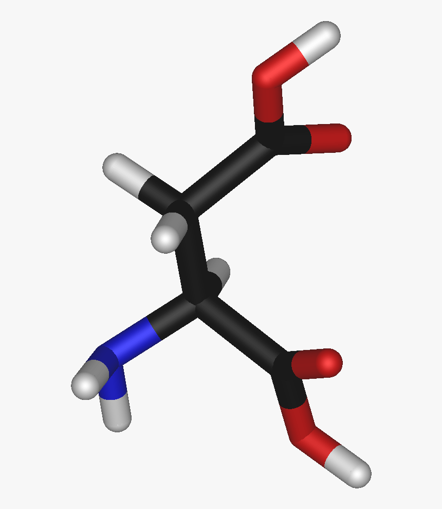 L Aspartic Ac - Aspartic Acid, HD Png Download, Free Download