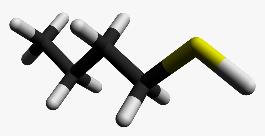 1 Butanethiol 3d Sticks By Ahrls 2012 - Cylinder, HD Png Download, Free Download