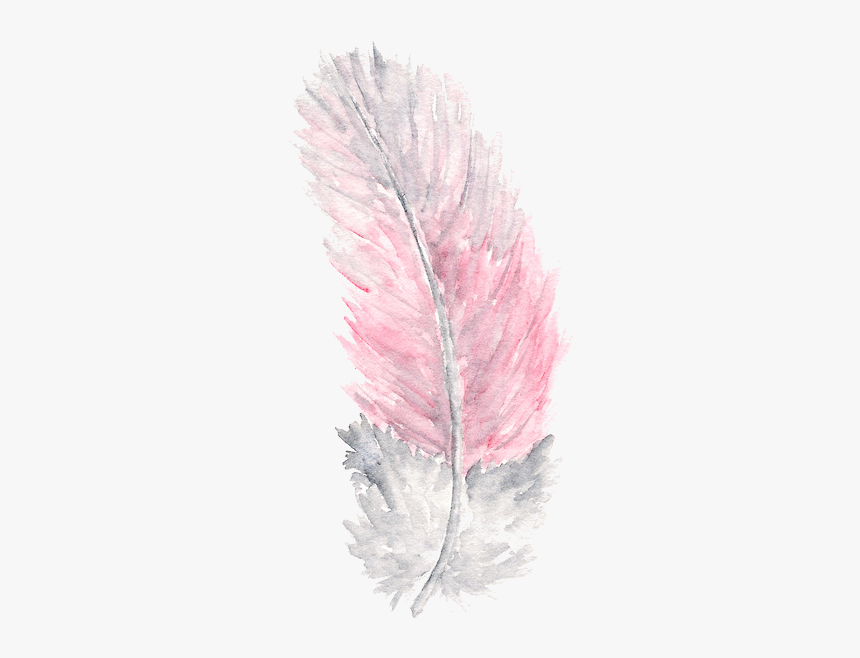 Transparent Watercolor Feather, HD Png Download, Free Download