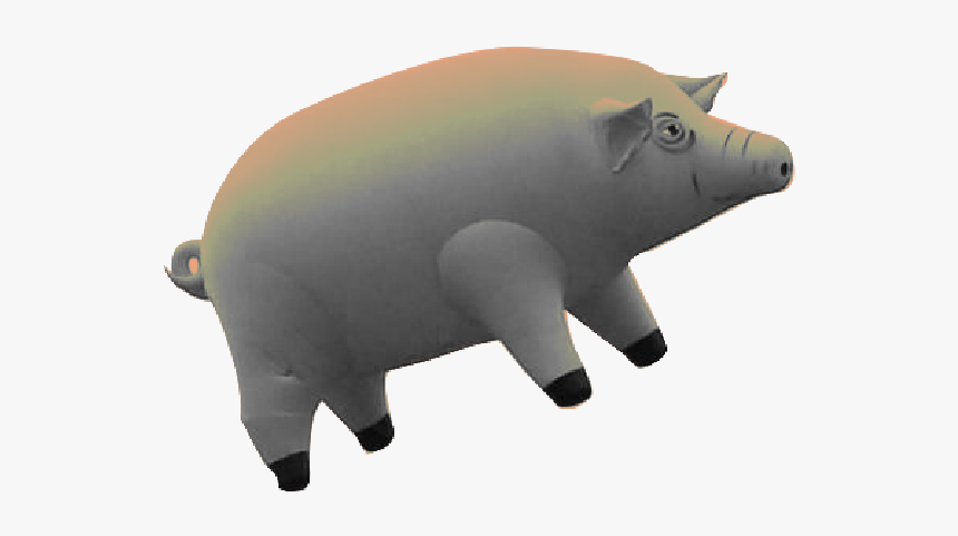 Transparent Pink Floyd Pig, HD Png Download, Free Download