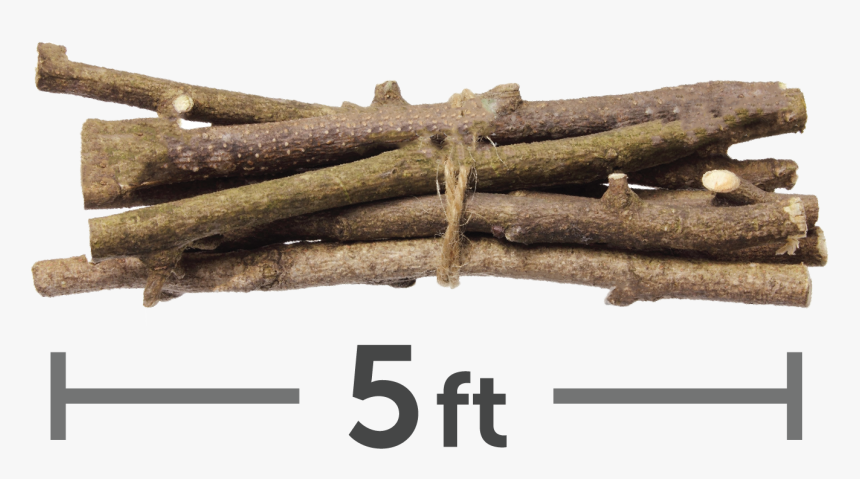 5 Ft Limbs - Bunch Of Sticks, HD Png Download, Free Download
