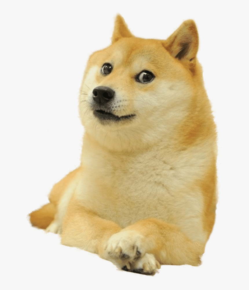 Doge Full Smiling, HD Png Download, Free Download