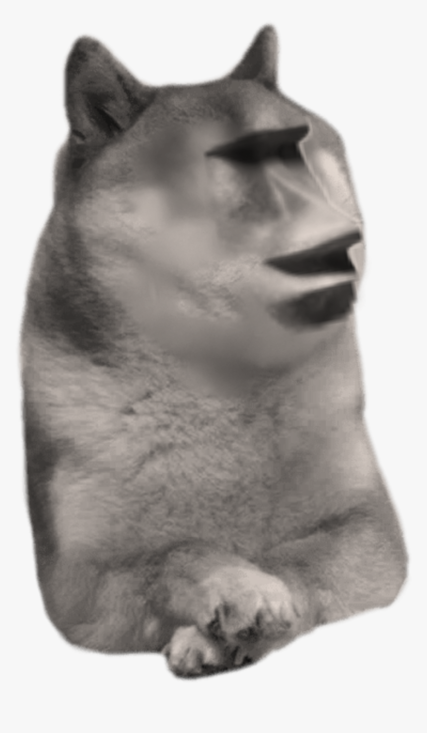 Doge.png, Transparent Png, Free Download