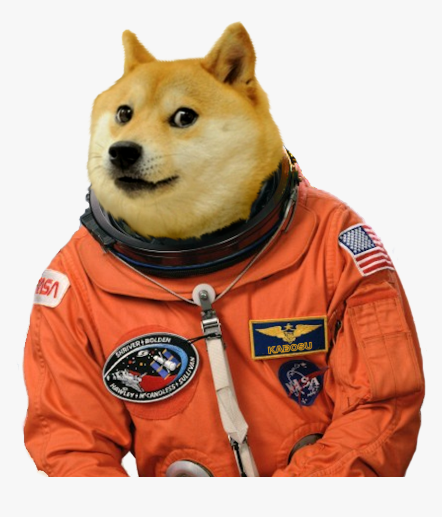 Doge.png, Transparent Png, Free Download