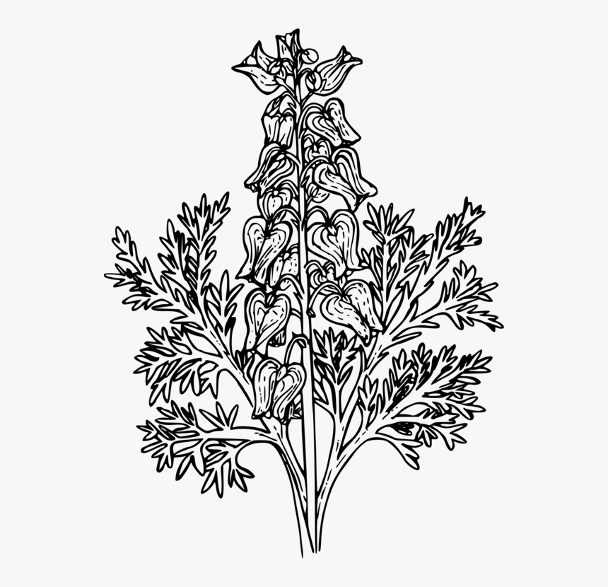 Line Art,plant,flora, HD Png Download, Free Download