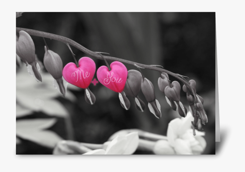 Bleeding Hearts Greeting Card, HD Png Download, Free Download