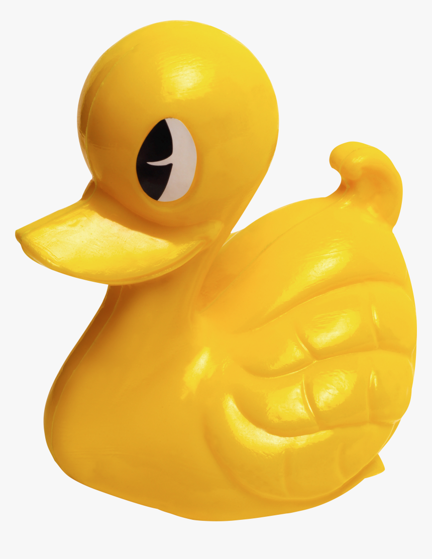 Rubber Duck Png, Transparent Png, Free Download