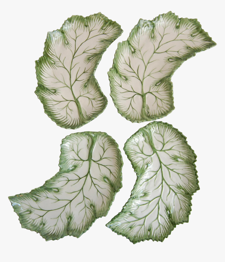 Clip Art Lettuce Leaf Plates, HD Png Download, Free Download
