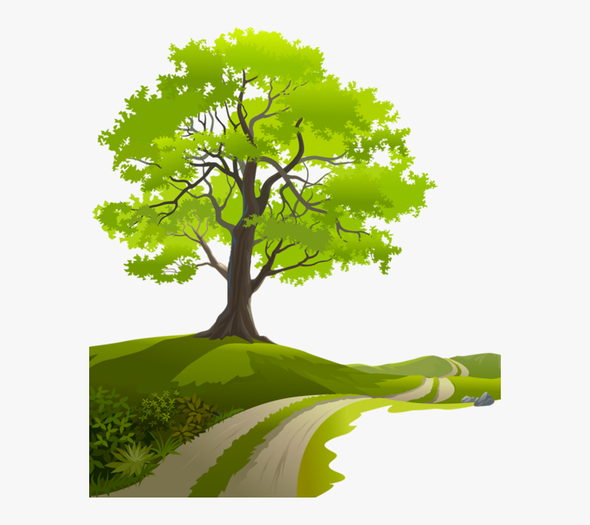 Tree Clipart, Spring Tree, Nature Vector, Page Borders,, HD Png Download, Free Download