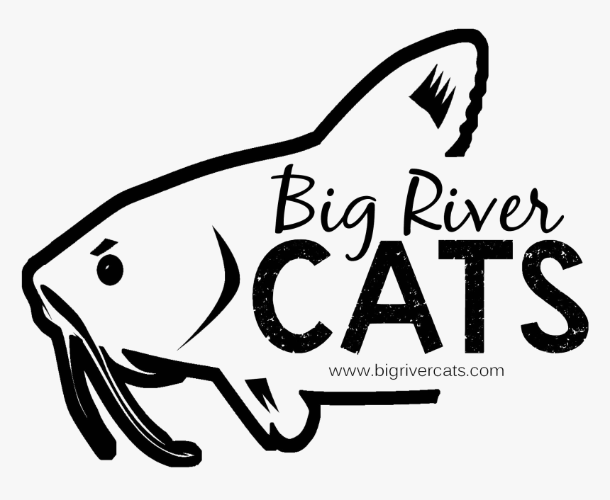 Big River Cats Looks To Make A Splash, HD Png Download, Free Download