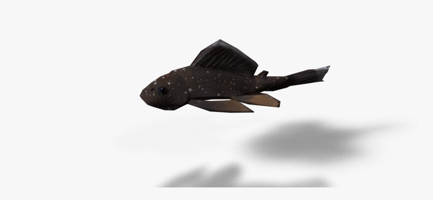 Catfish Png, Transparent Png, Free Download