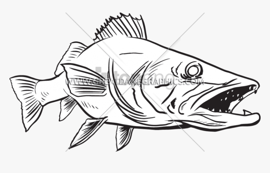 Catfish, HD Png Download, Free Download