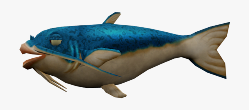 Catfish Png, Transparent Png, Free Download