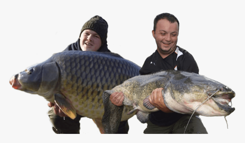 Bounty Lakes Carp And Catfishing, HD Png Download, Free Download