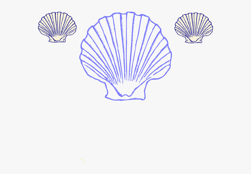 Shells Png, Transparent Png, Free Download