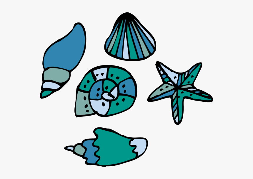 Transparent Sea Shells Png, Png Download, Free Download