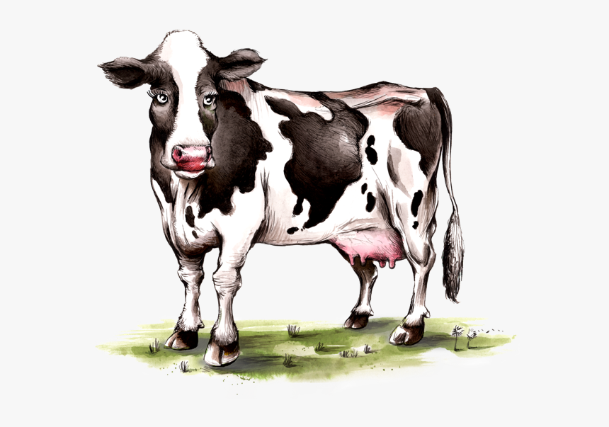 Dairy Cow, HD Png Download, Free Download