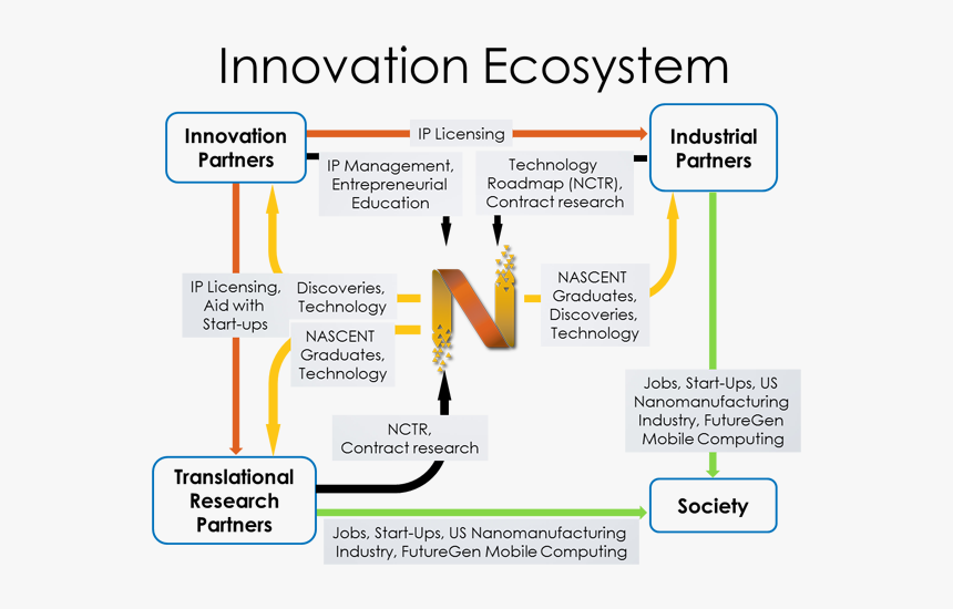 Graphic Representing The Innovation Ecosystem In Which, HD Png Download, Free Download
