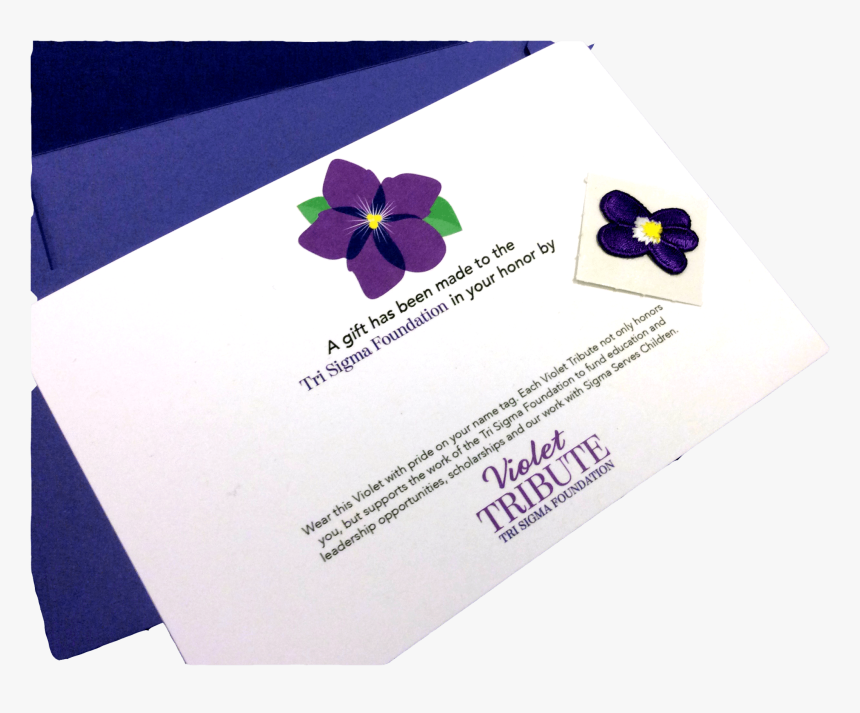 Pansy, HD Png Download, Free Download