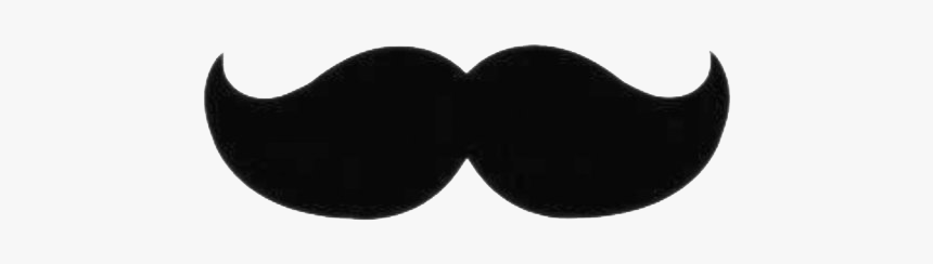 Moustache Png Pic - French Mustache Png, Transparent Png, Free Download