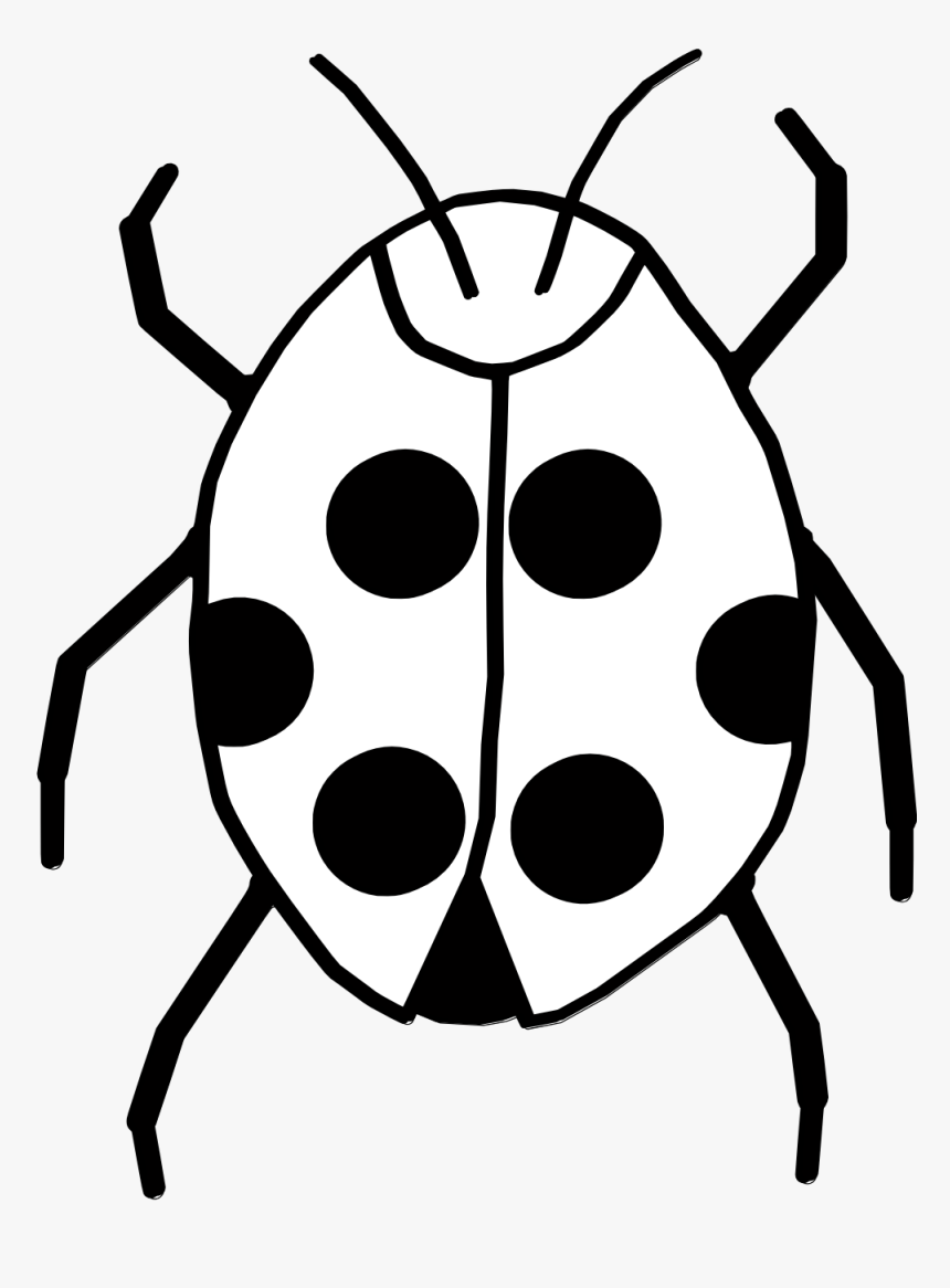 Black And White Bug Clipart - Clipart Black And White Lady Bugs, HD Png Download, Free Download