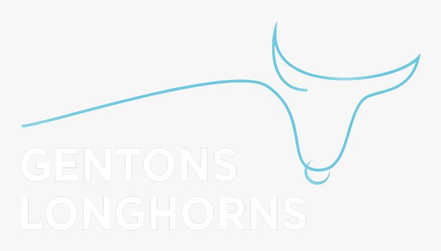 Transparent Longhorns Logo Png - Graphic Design, Png Download, Free Download