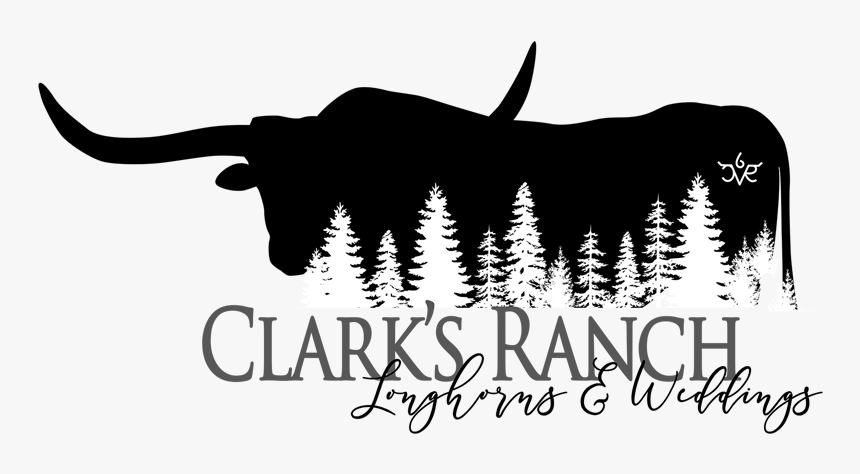 Clarks Ranch Logo - Longhorn Ranch Logo, HD Png Download, Free Download