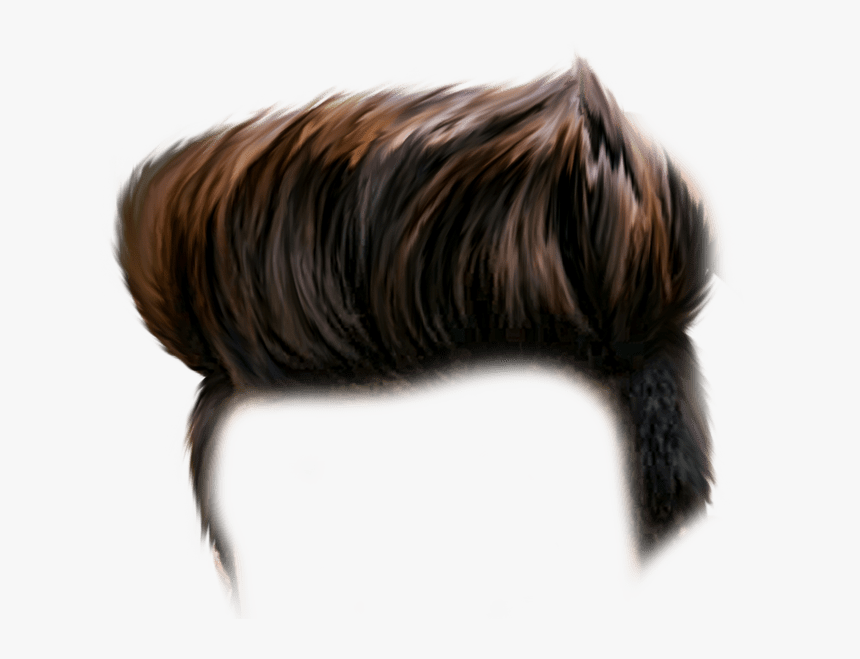 Hair Png - Hair Editing, Transparent Png, Free Download