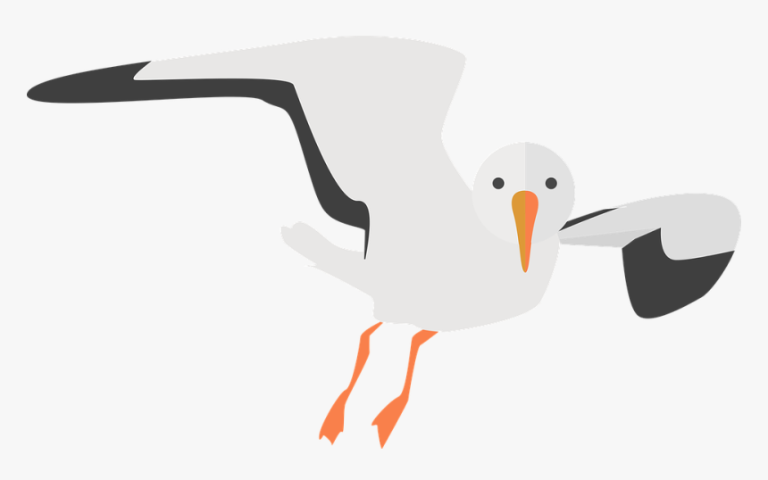 Download Gull Bird Png Transparent Images Transparent - Seagull Clipart Transparent Background, Png Download, Free Download