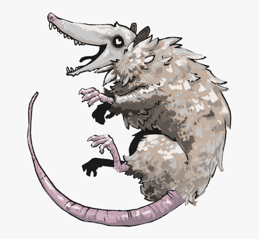 Transparent Possum Png - Illustration, Png Download, Free Download