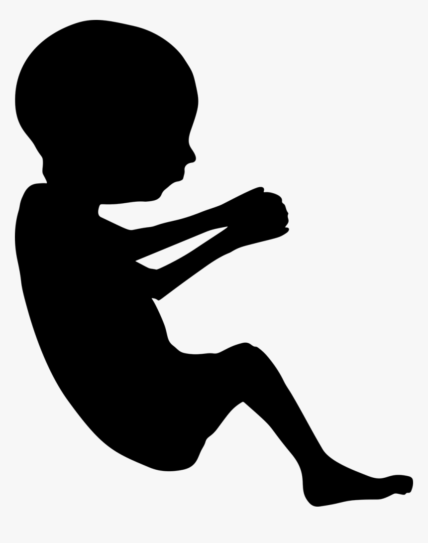 Fetus Clip Art, HD Png Download, Free Download