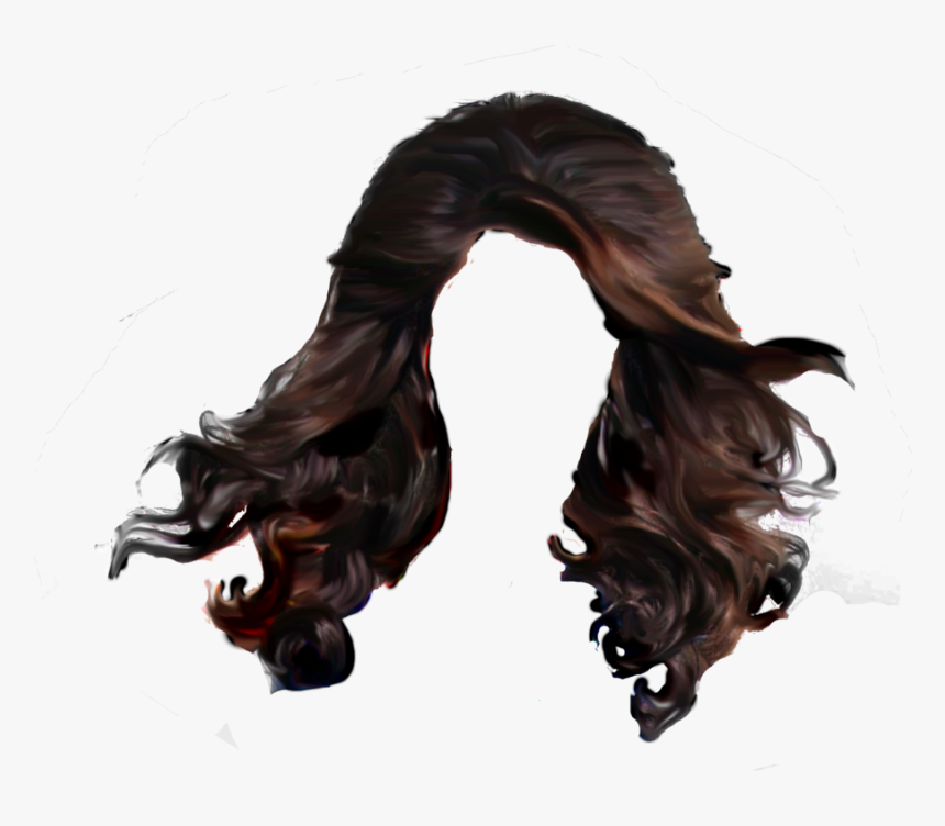 Hair Png Pic - Long Man Hair Png, Transparent Png, Free Download