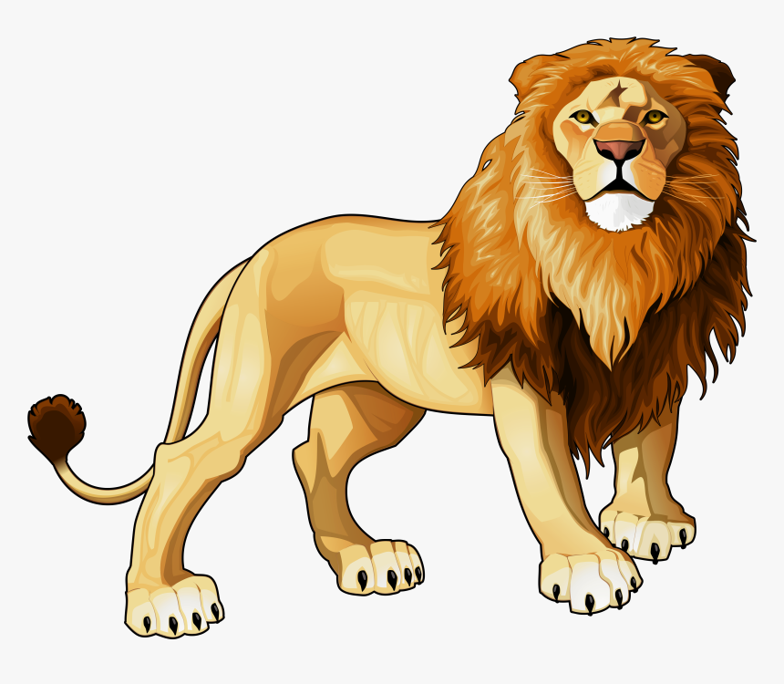 Lion Png Clipart - Transparent Background Lion Clipart, Png Download, Free Download