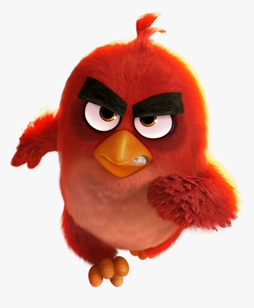 Transparent Bird Png - Red Angry Bird Quotes, Png Download, Free Download