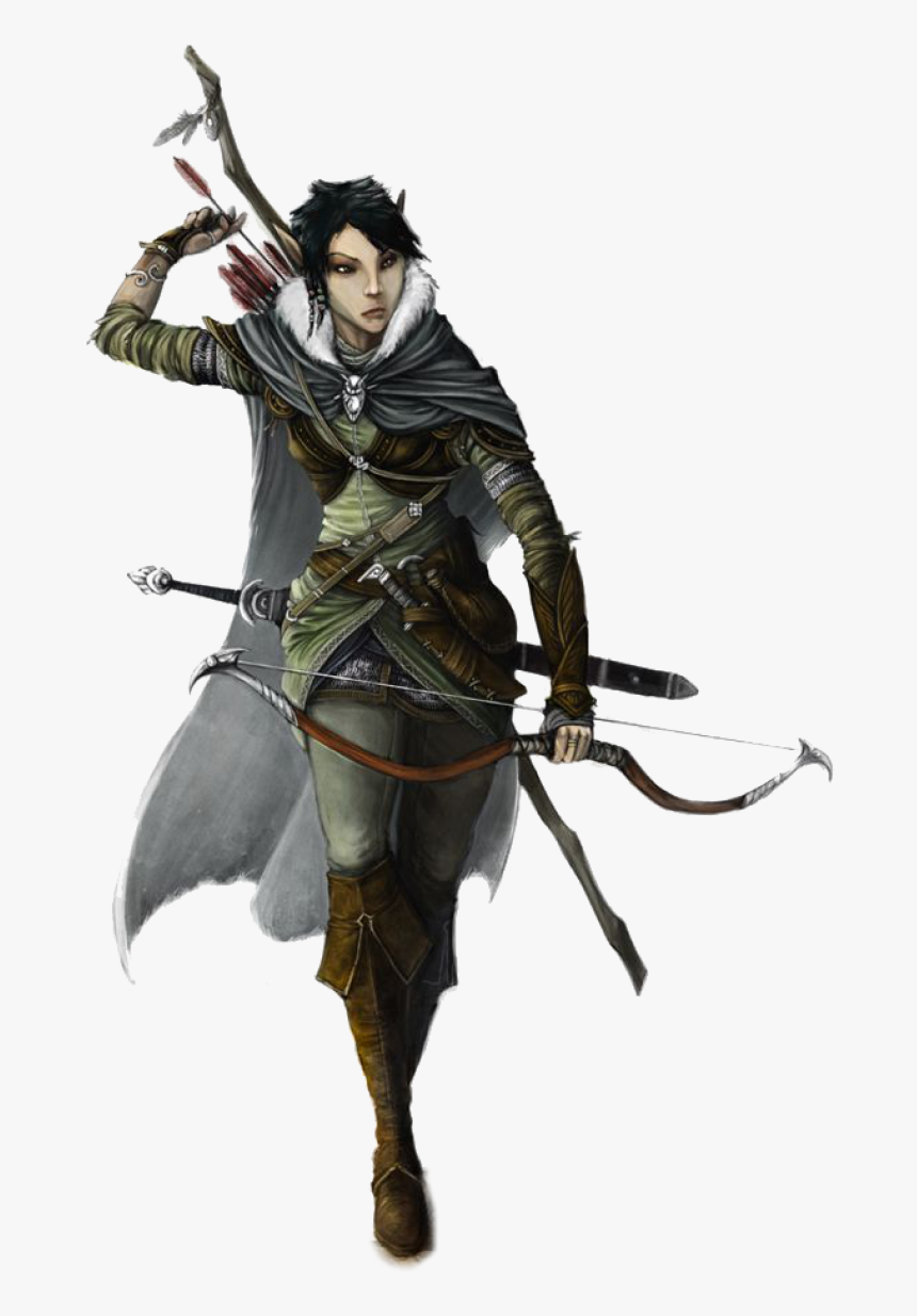 Elf Png - Dnd Archer, Transparent Png, Free Download