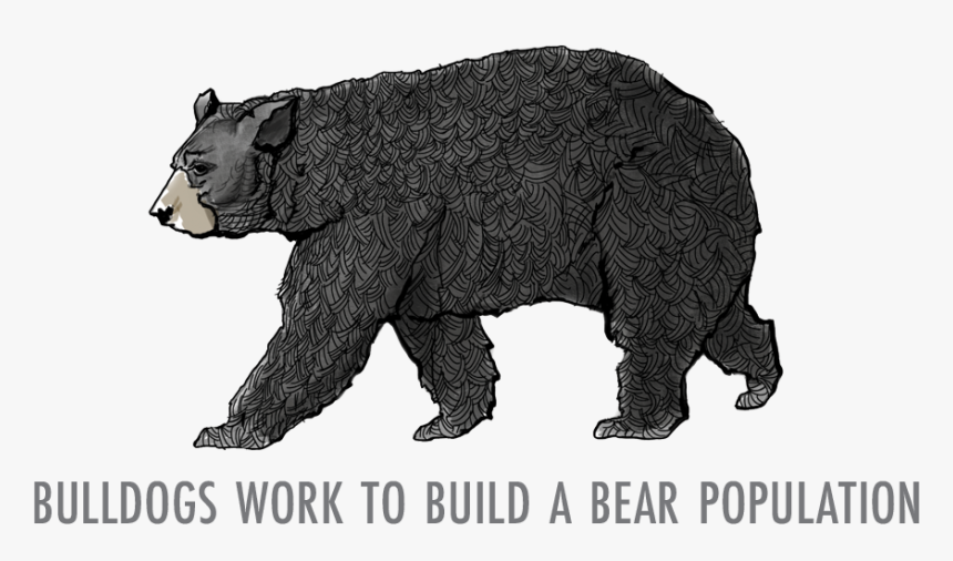 Grizzly Bear, HD Png Download, Free Download