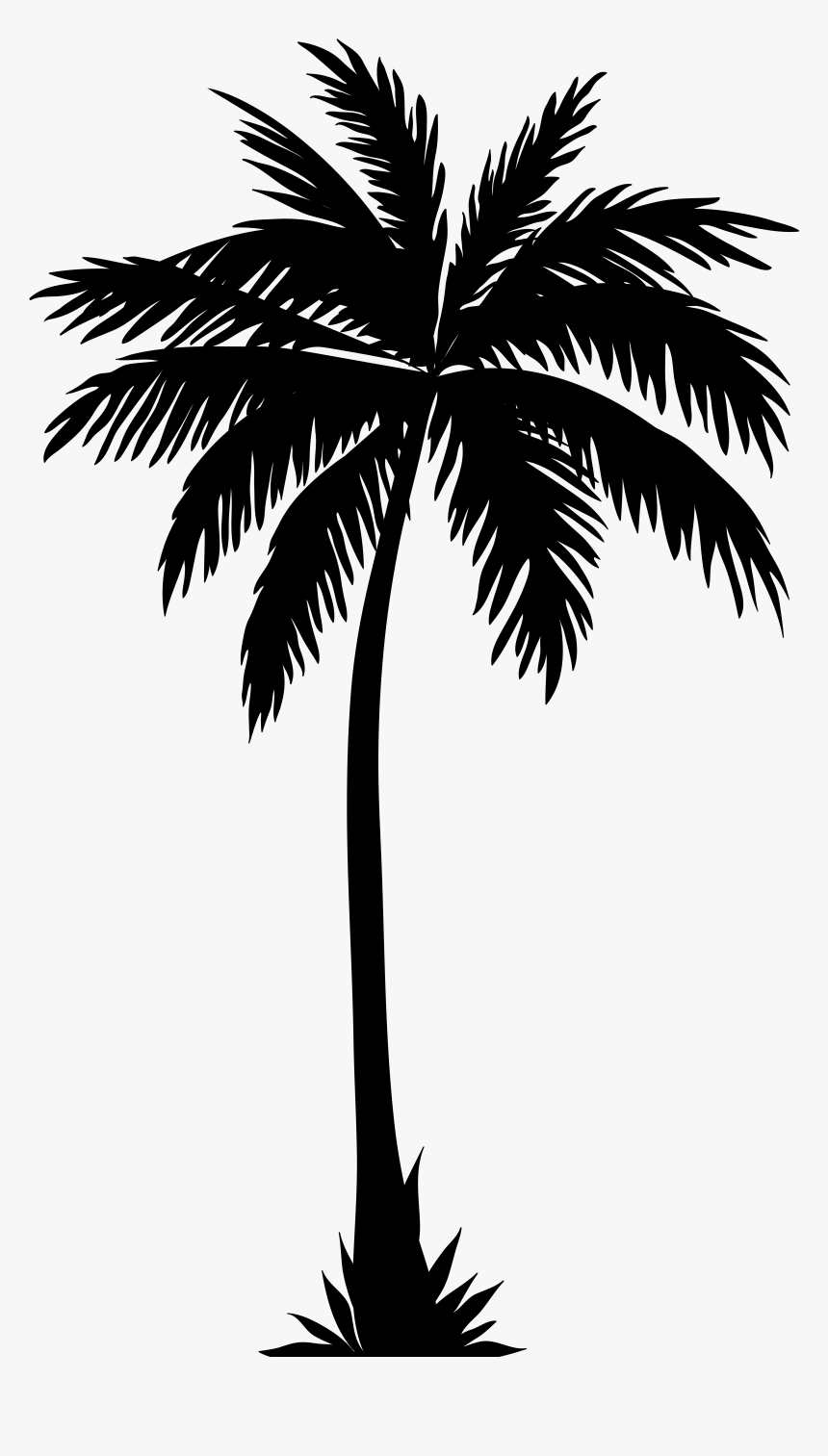 Coconut Tree Png White - Palm Tree Silhouette, Transparent Png, Free Download