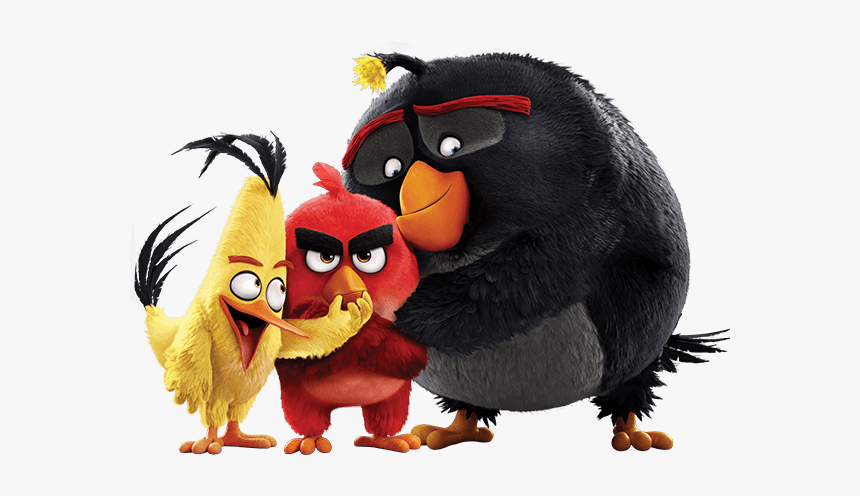 Angry Birds Png Transparent Background Angry Birds Hd Png Download Kindpng