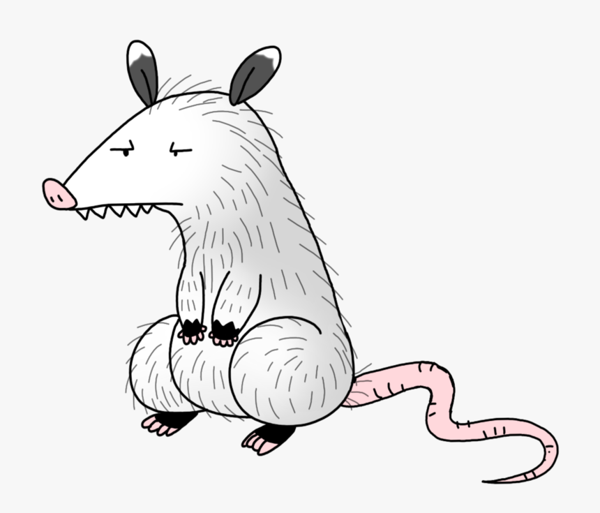 Freeuse Download Opossum By Spice Cartoon - Cartoon Opossum, HD Png Download, Free Download