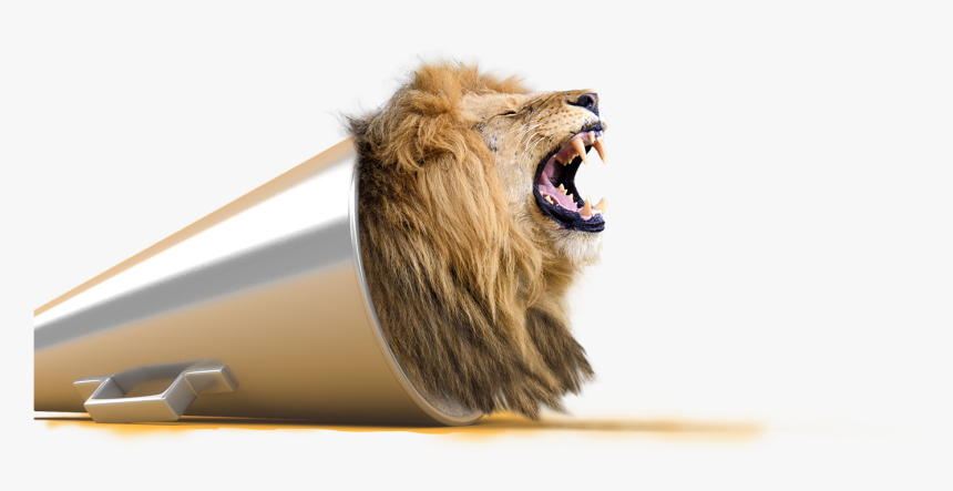 Lion Png The Best Presentations Visual Learning Center - Speak Loudly Speak Visually, Transparent Png, Free Download