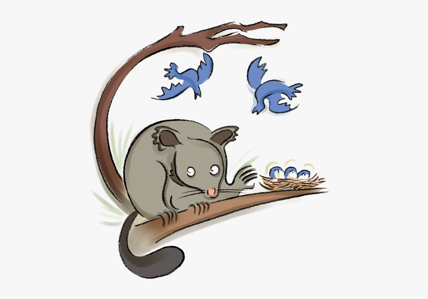 Brushtail - Cartoon, HD Png Download, Free Download