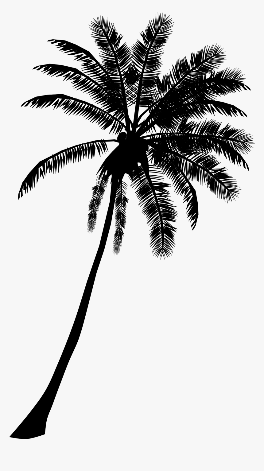 Clipart Free Library Palm Tree Black And White - Palm Tree Silhouette Clipart, HD Png Download, Free Download