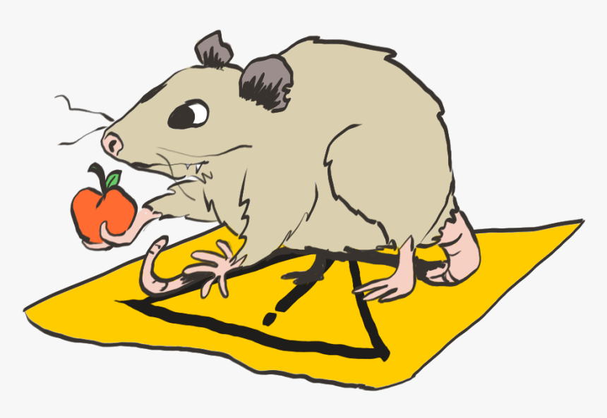 Mouse, HD Png Download, Free Download